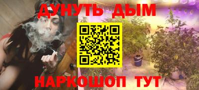 тгк Кингисепп