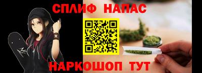 тгк Кингисепп
