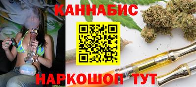 тгк Кингисепп