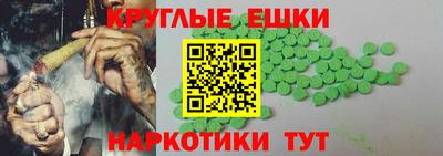 тгк Кингисепп
