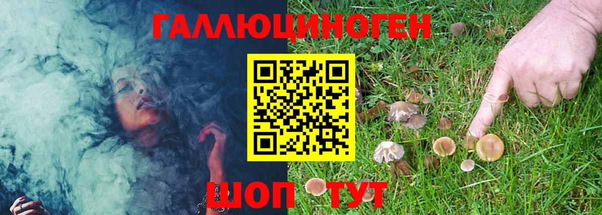 Галлюциногенные грибы GOLDEN TEACHER Котельники